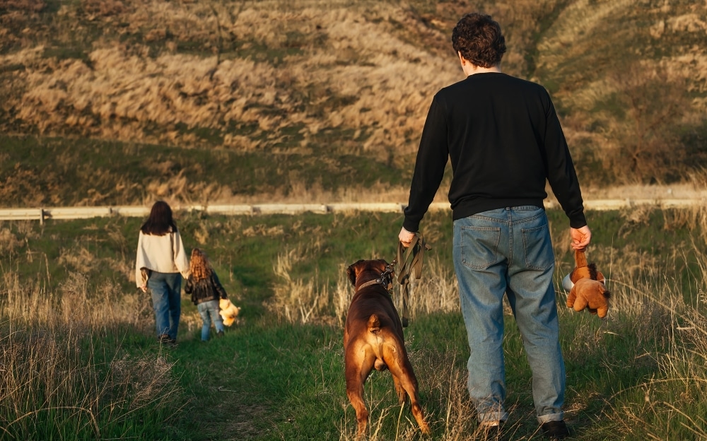 Pet Custody: Who Gets the Pets After a Separation or Divorce?